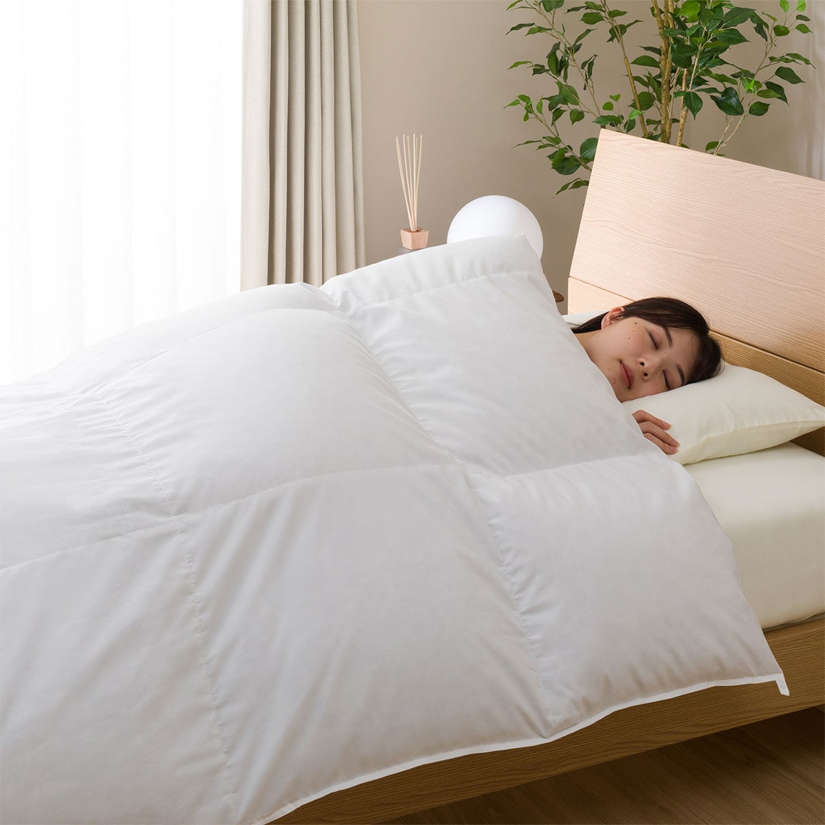 羽毛掛ふとん　クイーン(S-o1 Q) ニトリ 【・玄関先迄納品】 【1年保証】