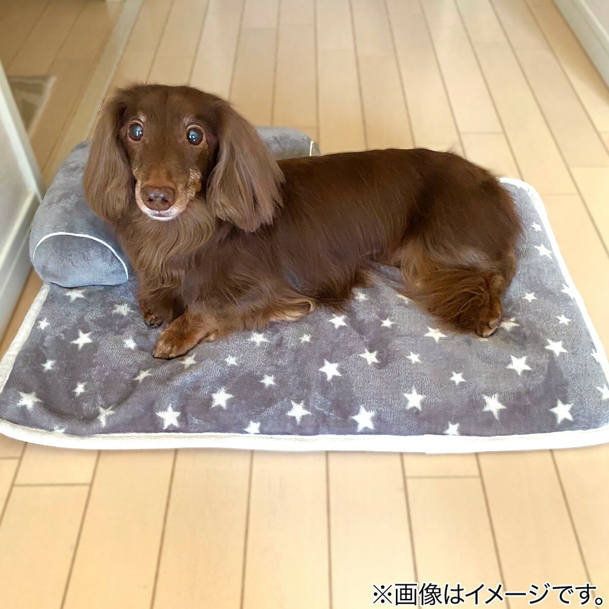 ペットごろ寝マット(Nウォーム i-nスター)   【1年保証】