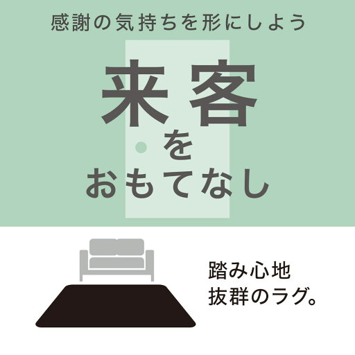 Nパズルマット 4枚入り フチつき(ダイBR 4P)