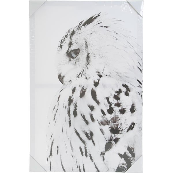 キャンバスポスター(フクロウ 38×58cm) ニトリ 【玄関先迄納品】 【1年保証】 〔合計金額11000円以上送料無料対象商品〕のサムネイル