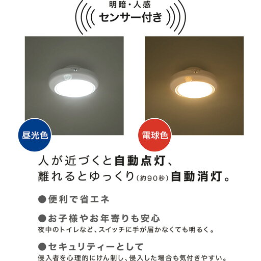 LEDミニシーリングライト エントラ 昼光色(60D)   【1年保証】  【期間限定お試し価格：11/17〜12/31まで】