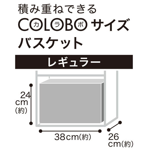 バスケット TI01 レギュラー ホワイト