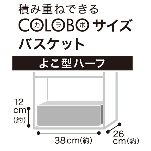 バスケット TI01 よこ型ハーフ ホワイト