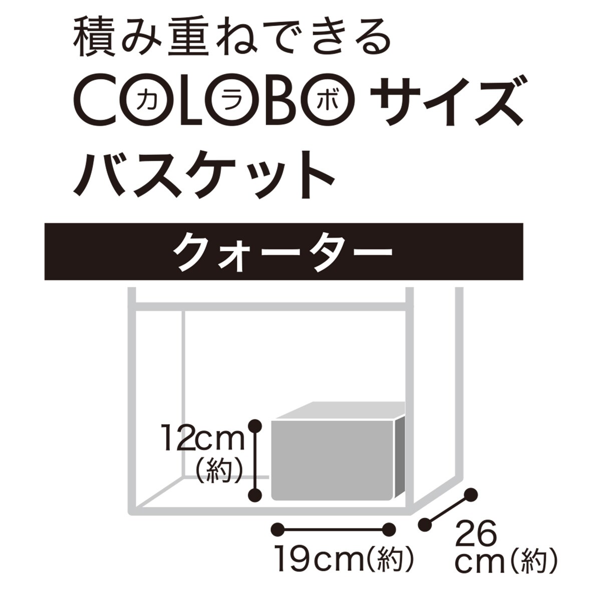 バスケット TI01 クォーター ホワイト