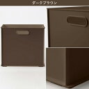 [幅19.2cm]収納ケース Nインボックス (W) たて型ハーフ ニトリ 【玄関先迄納品】 3