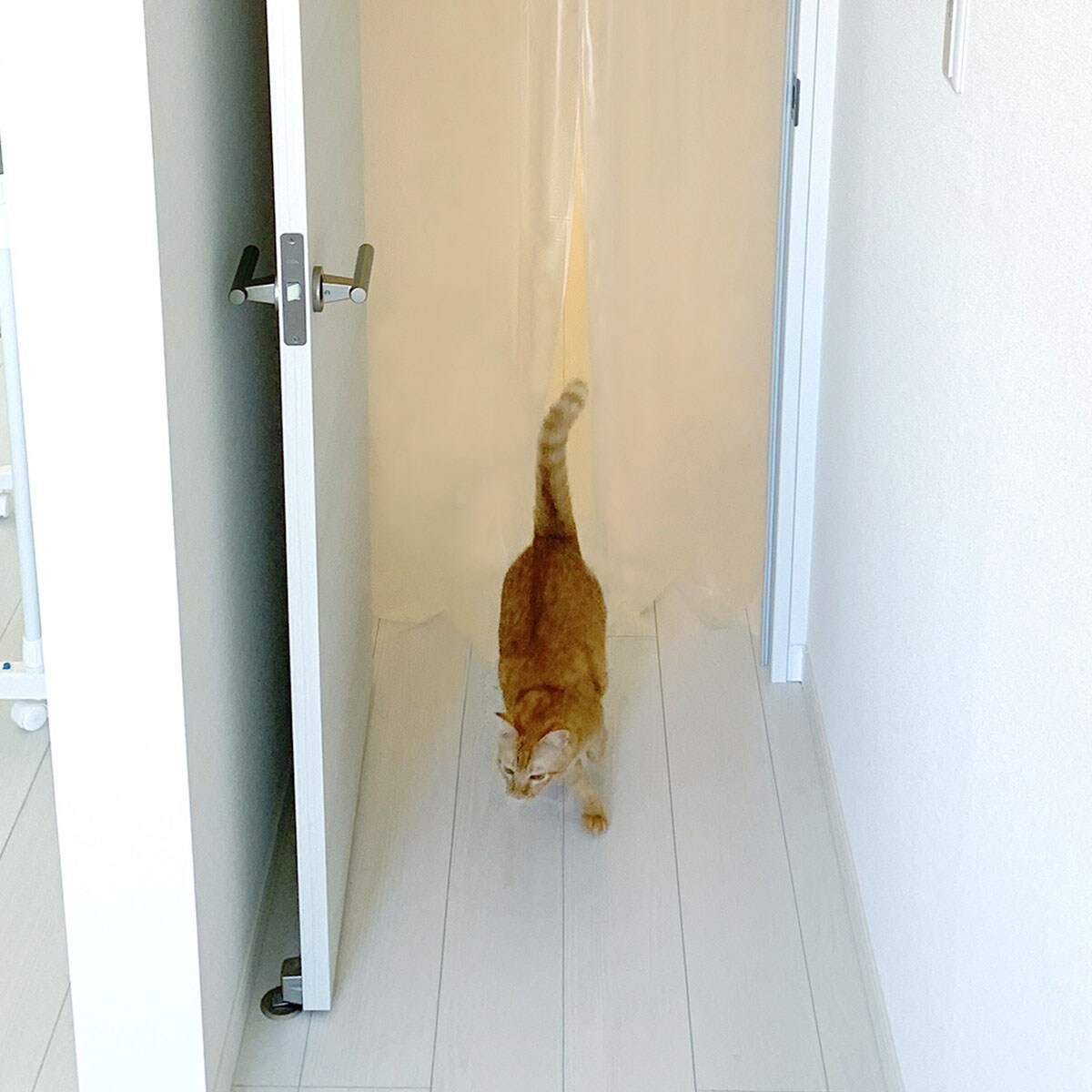 ペット用間仕切り(90×250cm クリア)