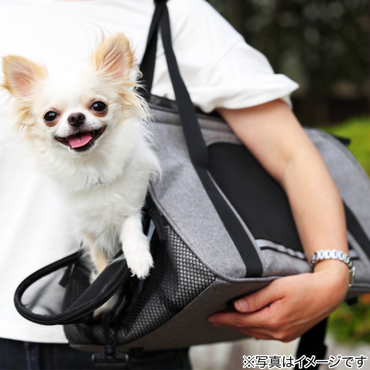 2WAYペットキャリー (BT-P010)