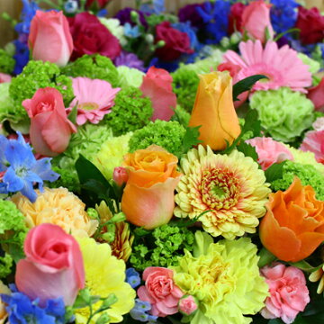 バルーンフラワーの花