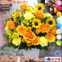 フリージアの花束 送料無料 誕生日 花 ギフト プレゼント フラワー 卒業 入学 合格 ホワイトデー ご挨拶 感謝 生花 フラワーギフト ミニ コンパクト お手ごろ メッセージ 結婚祝 結婚記念日 おススメ 笑顔 素敵 人気 評判 高評価 父 母 友達 あす楽 翌日配達 画像配信■アレンジメントL■