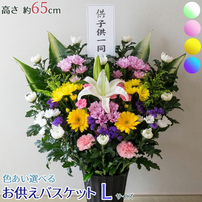 お供え お悔やみ 供花 アレンジ 命日 周忌 法事 仏花 花 菊 白菊 大輪 ユリ フラワー アレンジメント 楽天 白 初盆 お彼岸 お盆 花 和風 和花 洋花 即日 翌日配達 送料無料 送料込 画像配信 ボリューム 容器付■お供えバスケットL■の商品画像