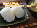 令和元年産新米 福島県産特別栽培米コシヒカリ 10kg