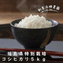 人気ランキング第12位「株式会社新妻有機農園」口コミ数「148件」評価「4.84」新米 コシヒカリ 5kg 送料無料 令和5年 福島県 特別栽培 こしひかり 米 白米 のし対応 ギフト