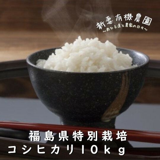 新米 コシヒカリ 10kg 送料無料 令和6年 福島県 特別栽培 こしひかり 米 白米 のし対応 ギフト