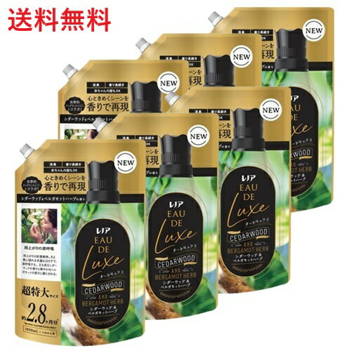 【単品6個】P&G レノア オードリュクス シダーウッド&ベルガモットハーブの香り 超特大サイズ つ