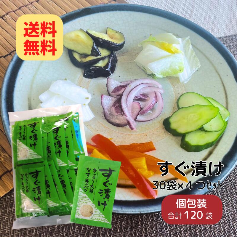 徳用 すぐ漬け 浅漬けの素 30袋×4個セット【送料無料】 ニットーリレー 粉末 タイプ 浅 漬け の 素かぶ 大根 キャベツ ナス きゅうり 浅 漬け 漬物 漬物の素 昆布 唐辛子 野菜 きゅうり漬け 茄子 簡単 時短