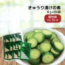 徳用 30袋 きゅうり漬けの素 単品 ニットーリレー 粉末 タイプ きゅうり 漬物 簡単 塩 浅 漬け 塩 漬け物 漬物の素 昆布 唐辛子 スパイス ピリ辛 野菜 漬け 簡単 時短