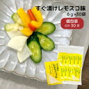 すぐ漬け レモスコ 味 徳用 30袋 ニットーリレー浅漬け 漬物 かぶ 大根 キャベツ ナス きゅうり 浅 漬け レモスコ 漬け物 すぐ漬けの素 粉末タイプ 漬物の素 レモン 野菜 簡単 時短