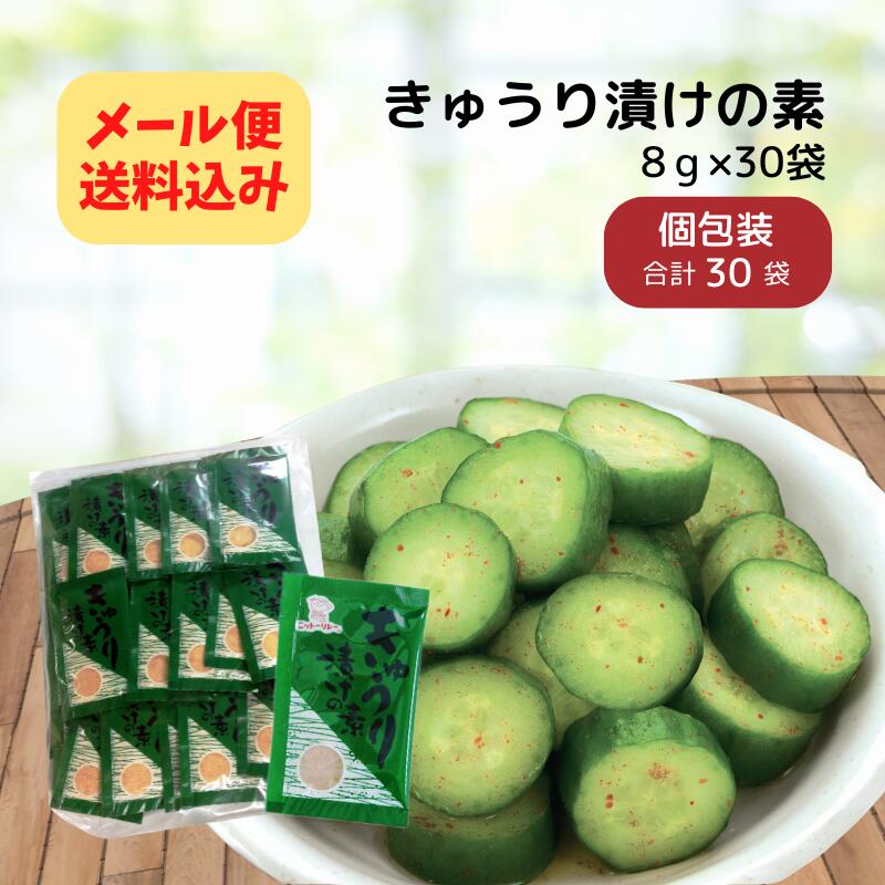 徳用 30袋 きゅうり漬けの素 【メール便送料込み】ニットーリレー 粉末 タイプ きゅうり 漬物 簡単 塩 浅 漬け 塩 漬け物 漬物の素 昆布 唐辛子 スパイス ピリ辛 野菜 漬け 簡単 時短