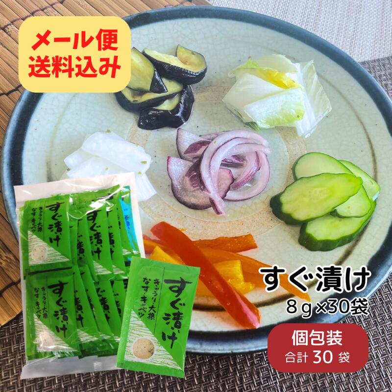 (内容量リニューアル)徳用 8g×30袋 すぐ漬け 浅漬けの素 【メール便送料込み】ニットーリレー 粉末 タイプ 浅 漬け の 素かぶ 大根 キャベツ ナス きゅうり 浅 漬け 漬物 漬物の素 昆布 唐辛子 野菜 きゅうり漬け 茄子 簡単 時短のサムネイル