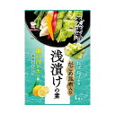 がごめ昆布入り浅漬けの素 瀬戸内レモン味 5g×4袋 ニットーリレー 青唐辛子入り 海人の藻塩使用 日東食品工業 藻塩 うまみ がごめ昆布 浅漬け 漬物 白菜 なす かぶ キャベツ 漬け物 粉末タイプ 漬物の素 昆布 唐辛子 野菜 大根 きゅうり 漬け 簡単 時短