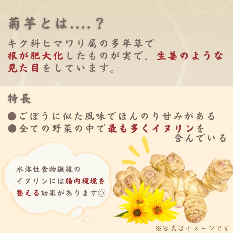 徳用 きくいもポタージュ 20袋 ニットーリレ...の紹介画像3