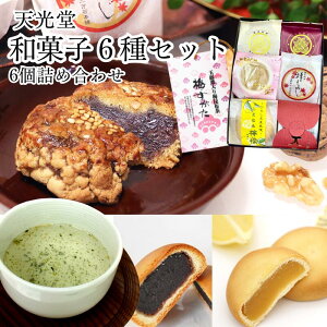 【5/22発送分 予約受付中】天光堂 和菓子 6種×1個詰め合わせ 梅すがたセット|【送料無料】浅野四十二万石 あきもみじ 大栗まんじゅう 栗まんじゅう 最中 季節限定 栗入り ギフト プレゼント 父の日 母の日 お茶菓子 おやつ 和菓子