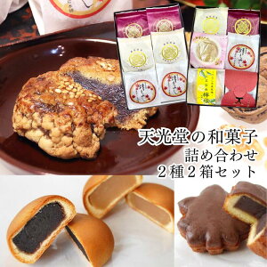 天光堂 代表銘菓3種×2個セット 和菓子詰め合わせ 6種×1個セット 2箱セット|【送料無料】浅野四十二万石 あきもみじ ほろ酔いもみじ 大栗まんじゅう 栗まんじゅう 最中 ギフト プレゼント 父の日 母の日