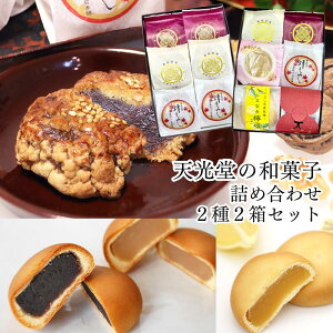 天光堂 代表銘菓3種×2個セット 和菓子詰め合わせ 6種×1個セット 2箱セット|【送料無料】浅野四十二万石 あきもみじ ほろ酔いもみじ 大栗まんじゅう 栗まんじゅう 最中 ギフト プレゼント 父の日 母の日
