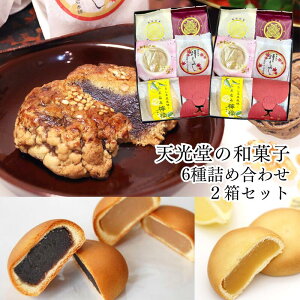 天光堂 和菓子 6種×1個詰め合わせ 2箱セット|【送料無料】浅野四十二万石 あきもみじ 大栗まんじゅう 栗まんじゅう 最中 季節限定 栗入り ギフト プレゼント 父の日 母の日 お茶菓子 おやつ 和菓子