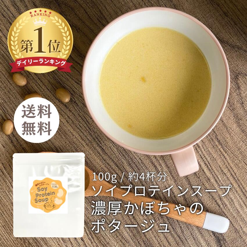 ソイプロテイン スープ 濃厚 かぼちゃのポタージュ 味 100g（1杯 約25g 20～60食分） お試しサイズ プロテイン 植物性プロテイン 甘味料不使用 パンプキンスープ パンプキン スープ 国産 かぼちゃ 日東食品工業 筋トレ ダイエット