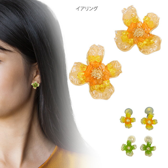 Ⱦۡۥե  Υۡ륿  ˤʤ ǥ꡼  Ͳİ ʥ   ե ץ쥼 ...