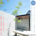 【現品】山採り【アオダモ】株立ち 自然風樹形 コバノトネリコ 樹高H≒300 × 枝張W≒110cm 高木 落葉樹 シンボルツリー 植木 庭木 樹木 植栽 和風...