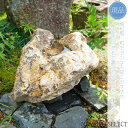 【国産 水鉢】ミズバチ おがせ石 岐阜県産 自然石 全高H≒250 × 幅W≒380 × 奥行D≒300mm(25.4kg) 庭石 置き物 置物 天然石 縁起物...