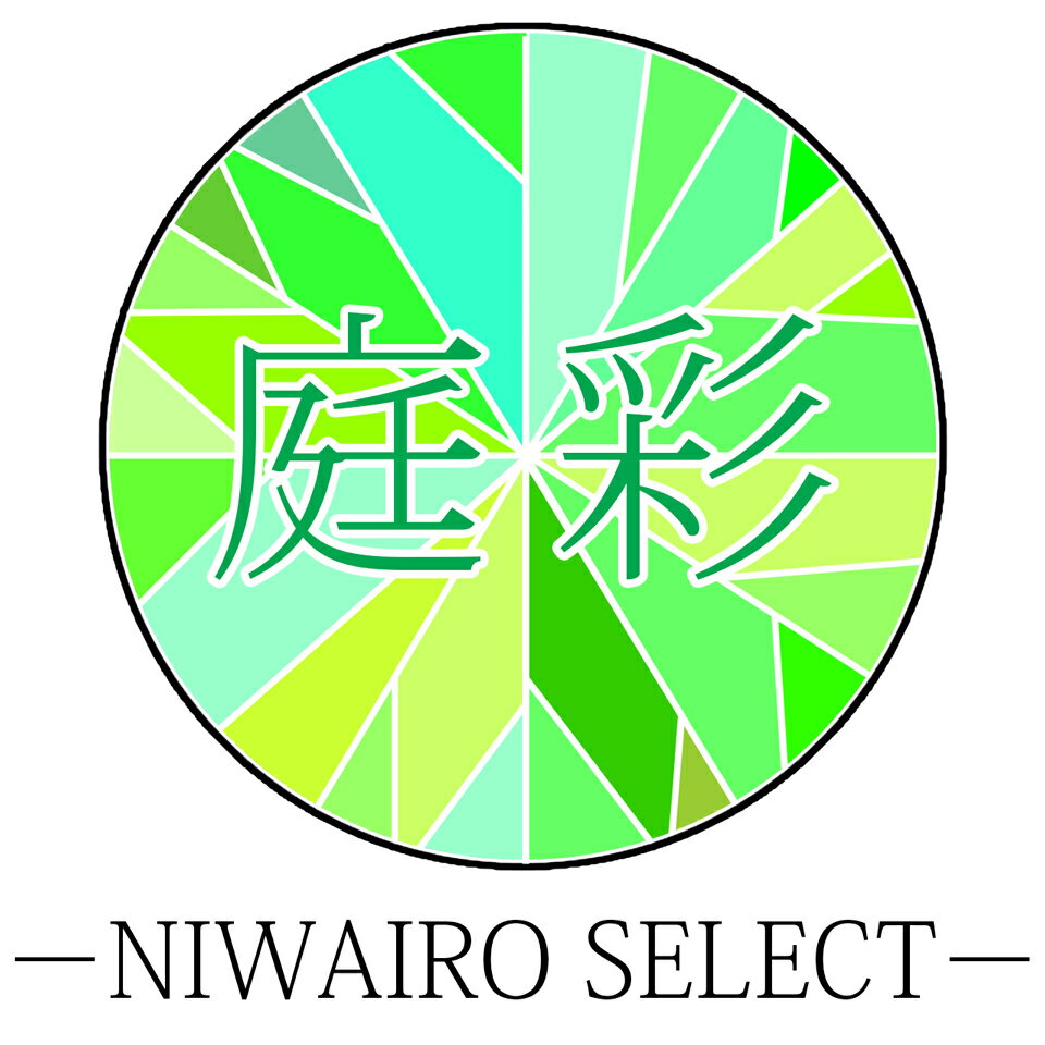 Shop icon