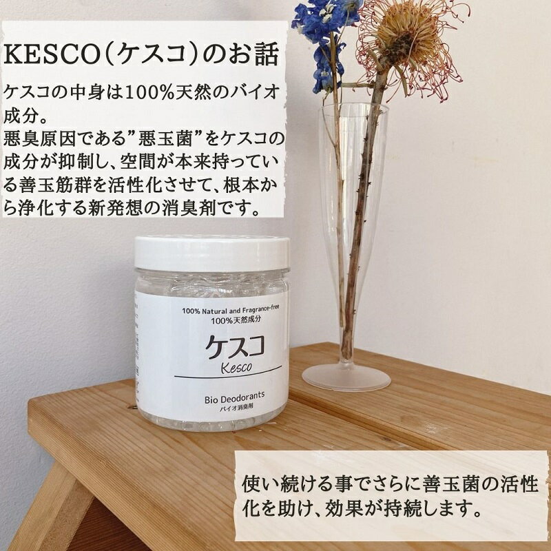 【消臭ビーズ 詰め替え】KESCO ケスコ 置き型 700g 消臭ビーズ 消臭剤 魔法のバイオ消臭 本体 無香料 室内消臭 靴 部屋 タバコ ゴミ箱