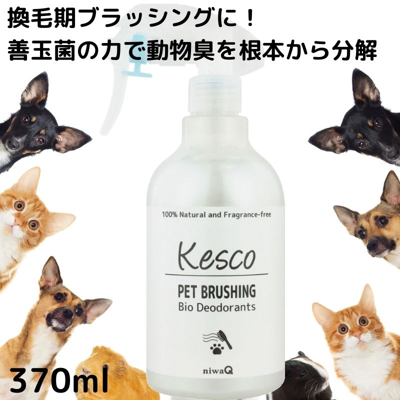 ペットクール 犬 猫 犬用 猫用 ボディケアー Pet-Cool BodyCare 詰め替え用 300ml 2本セット ボディーケア ボディケア スプレー 詰め替え お手入れ シャンプー 耳垢 目ヤニ 消臭 デオドラント【店舗発送・店舗受取り可能】