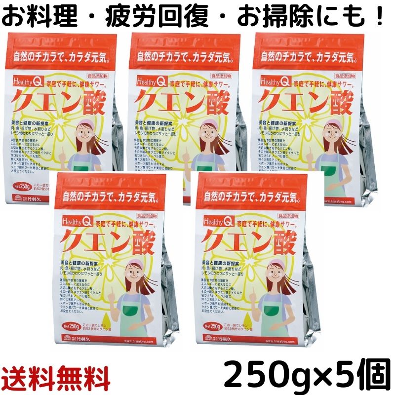 【スーパーセール価格】食用 HealthyQ クエン酸 250g 5袋　ドリンク 疲労回復 食用 無水クエン酸 除菌 消臭 無添加 食品添加物 スプレー シンク 風呂 トイレ ヤニ 水垢 水あか 丹羽久