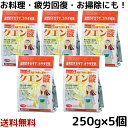 クエン酸 食用 250g 5個 無水クエン酸 食品添加物 無添加 シソジュース トイレ臭い ヤニ 水垢 水あか 丹羽久