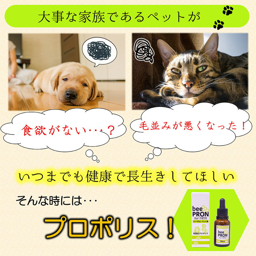 【国際品質基準認定】ビープロン beePRON プロポリス 30cc スポイトタイプ ペット用 犬用 猫用 マヌカハニー 犬 猫 免疫力 免疫 サプリメント 高濃度 無添加 天然 抗生物質 薬 老犬 老猫 体調不良 食欲不振 下痢 サポート