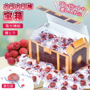 【おいしく塩分補給】宝箱 ギフト 種とり カリカリ梅 420g ギフトセット 詰め合わせ お漬物 赤城フーズ おつまみ おやつ 梅 うめしば お菓子 小袋 すっ...