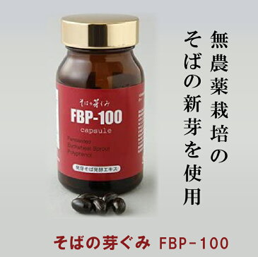 そばの芽ぐみ サプリメント【送料無料】 FBP-100 450mg×120粒 ポリフェノール 乳酸菌生産物質 ケルセチン