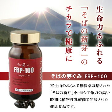 そばの芽ぐみ サプリメント【送料無料】 FBP-100 450mg×120粒 ポリフェノール 乳酸菌生産物質 ケルセチン