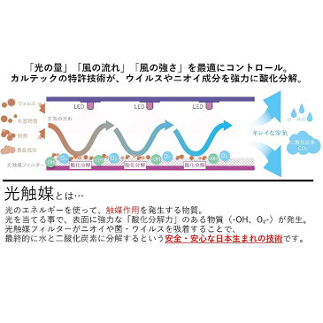 カルテック 光触媒除菌・脱臭機 ターンド・ケイKL-W01Z 壁掛けタイプ【送料無料】除菌 ウイルス対策 ペット臭 加齢臭 浮遊ウイルス カビ菌