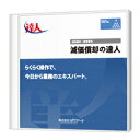 p̒Bl Professional Edition CD-ROM