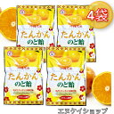 【人気】沖縄名産 たんかんのど飴 80g ×4袋 送料無料 のどにスッキリ 沖縄の味 竹製菓 沖縄お土産