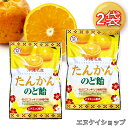 【1000円ポッキリ!】沖縄名産 たんかんのど飴 80g ×2袋 送料無料 のどにスッキリ 沖縄の味 竹製菓 沖縄お土産