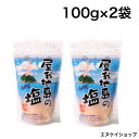 屋我地島の塩 100g×2袋 天日干し 平窯 鉄窯 天然塩 沖縄のお塩 沖縄ベルク 沖縄お土産 天日塩 ミネラル 鉄分