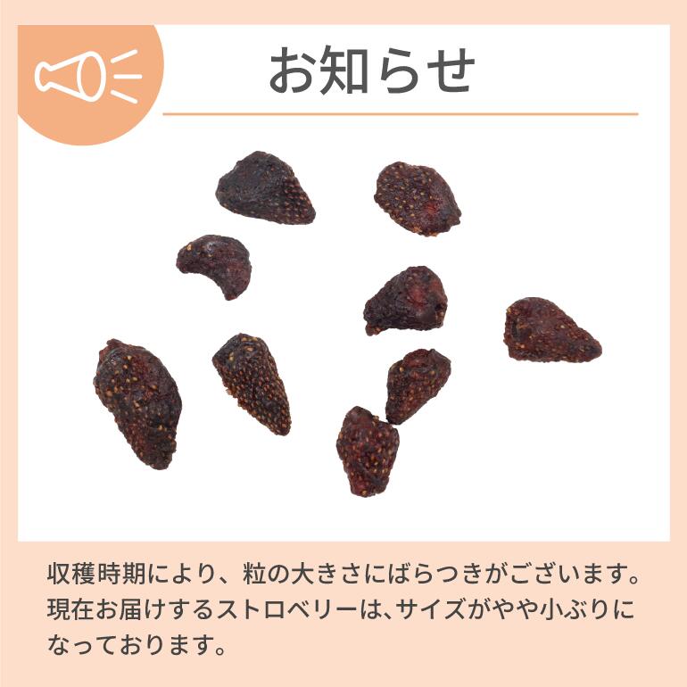 �������˥å����ɥ饤 ���ȥ��٥꡼�ʥ�󥴲̽����ѡ� 100g /�ȥ륳�� ͭ���ɥ饤���ȥ��٥꡼ ͭ��������