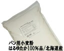 はるゆたか100％ 2.5Kg 江別製粉 パン用小麦粉 北海道産ハルユタカ小麦100 強力粉 ナチュラルキッチン