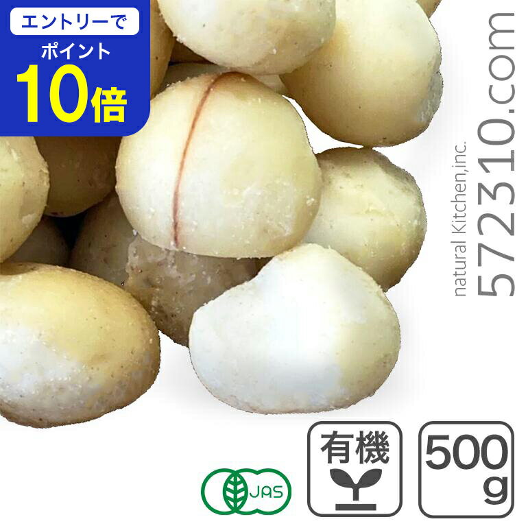 【エントリーで店内全品ポイント10倍！ 11/20 20:00～11/27 1:59】オーガニック・ マカダミアナッツ(生) Style1R 500g ケニア産 有機マカダミアナッツ マカデミアナッツ
